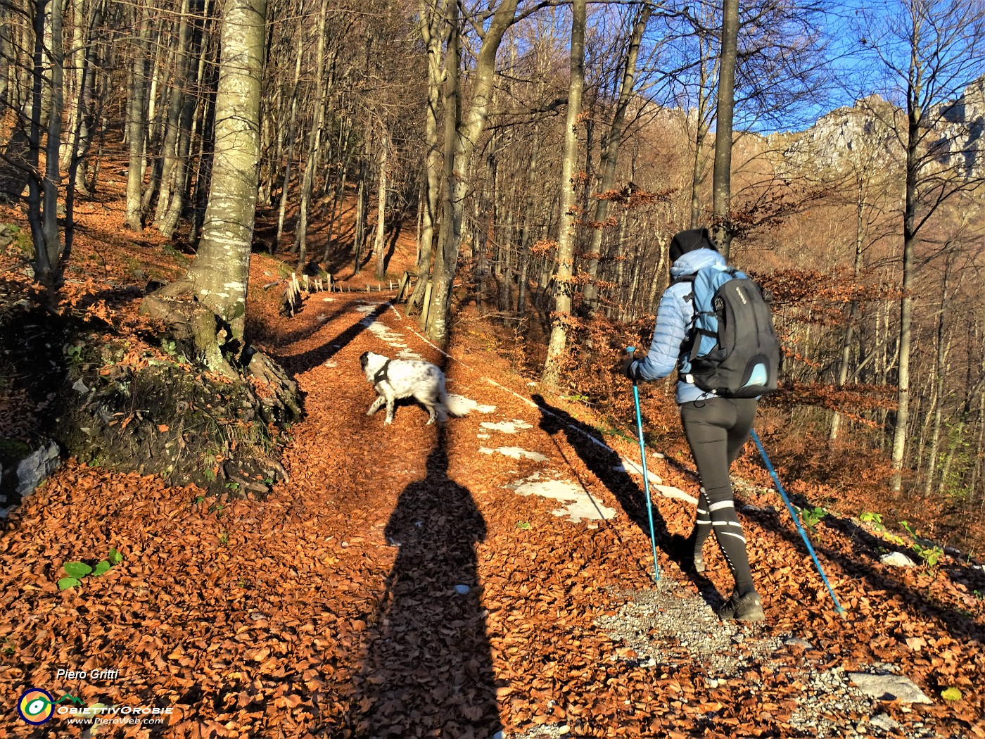 13 Salendo la stradetta agrosilvopastorale  colorata d'autunno.JPG